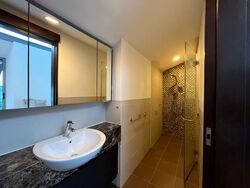 Radiance @ Bukit Timah (D21), Terrace #551954401